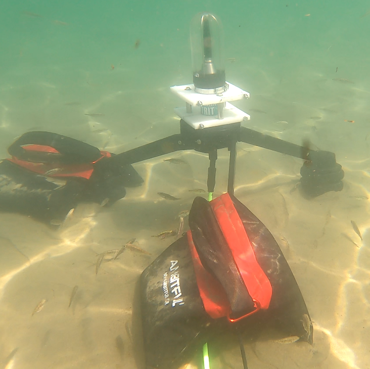 Hydrophone flow shields